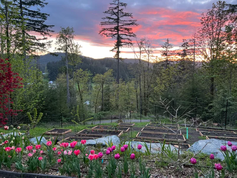 Liv's Edible Gardens, our farm in Saanich